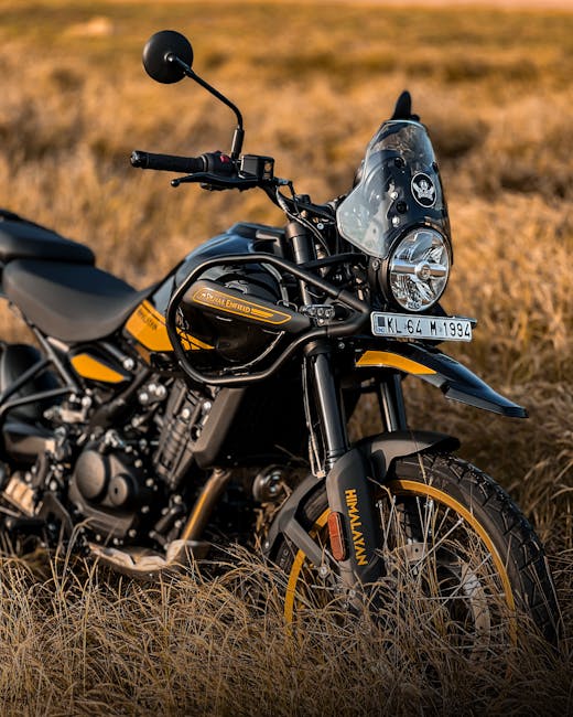 A black and yellow Honda Rebel motorcycle parked on a grassy field with tall, dry grass, and no other vehicles or people visible. The motorcycle features a clear windscreen, a single round headlight, and a rearview mirror on the left handlebar. The seat appears upholstered in black fabric, and the front and rear tires have yellow accents matching the bodywork. The surrounding environment is open countryside with soft, natural lighting suggesting late afternoon or early evening. The scene shows the motorcycle in a stationary position, possibly as part of a home relocation or transport process by Man with Van Enfield, with the focus on secure packing and transportation of vehicles during moving services.